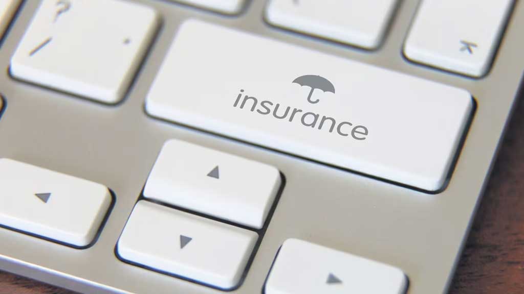 Insurance Samadhan Mint Coverage